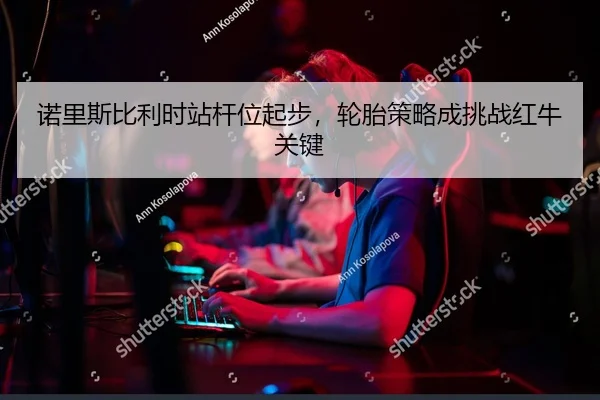 nuo-li-si-bi-li-shi-zhan-gan-wei-qi-bu-lun-tai-ce-lve-cheng-tiao-zhan-hong-niu-guan-jian-2-966.jpg