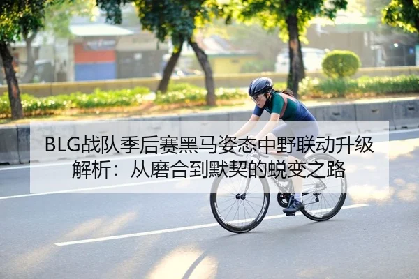 BLG战队季后赛黑马姿态中野联动升级解析：从磨合到默契的蜕变之路